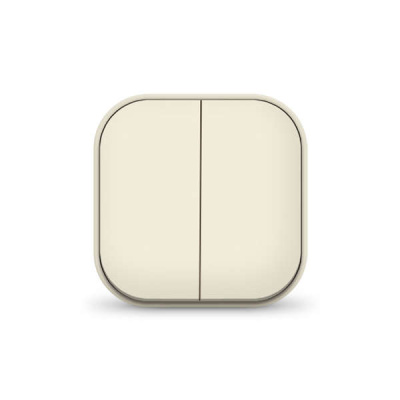 Выключатель 2-кл. 1п ОП 10А IP20 сл. кость IONICH 1425