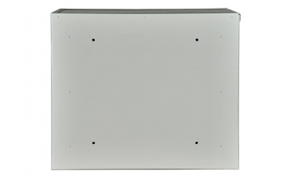 Шкаф антивандальный настенный ШАН-Пенал ШАН-П 9U ССД