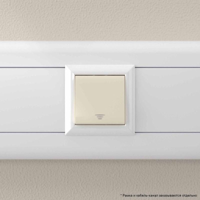 Кнопка 2мод. 16А Avanti "Ванильная дымка" DKC 4405152